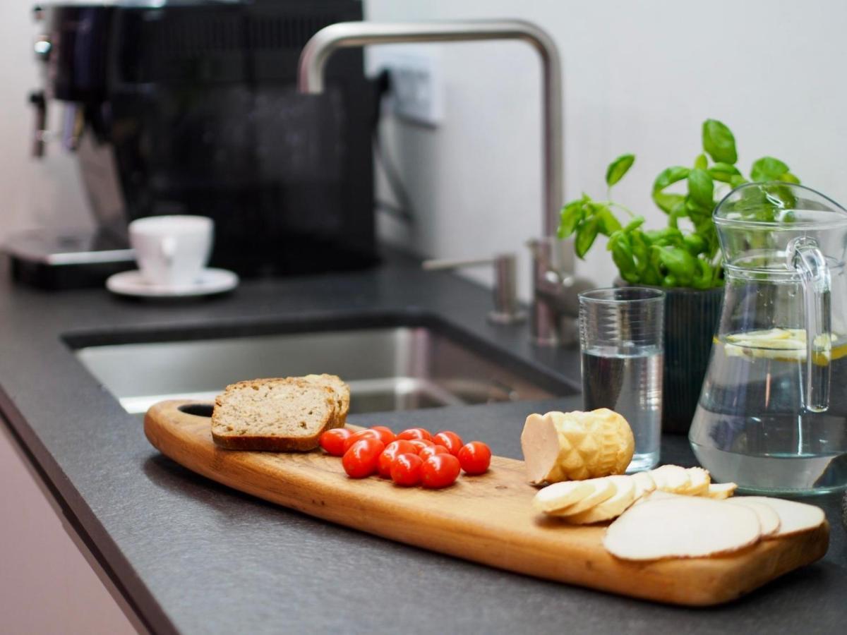Br12 Premium , Garaz Apartment Bielsko-Biala